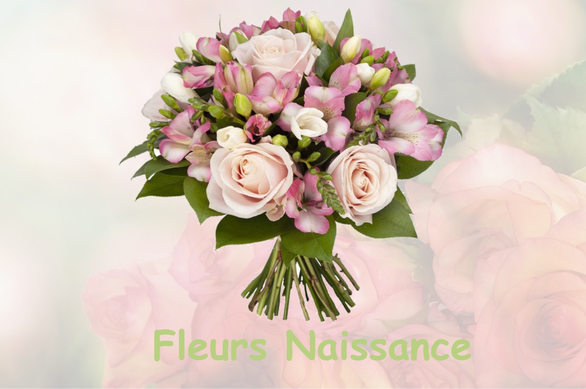 fleurs naissance UZAY-LE-VENON