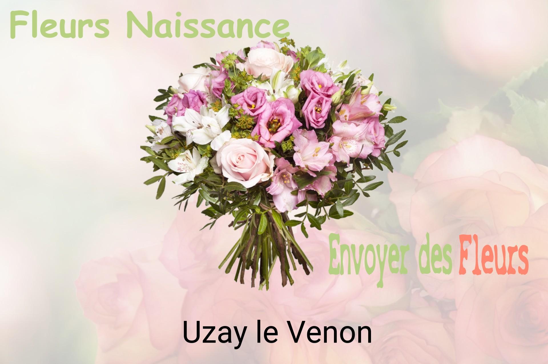 Bouquet de fleurs de naissance livré à Uzay-le-Venon